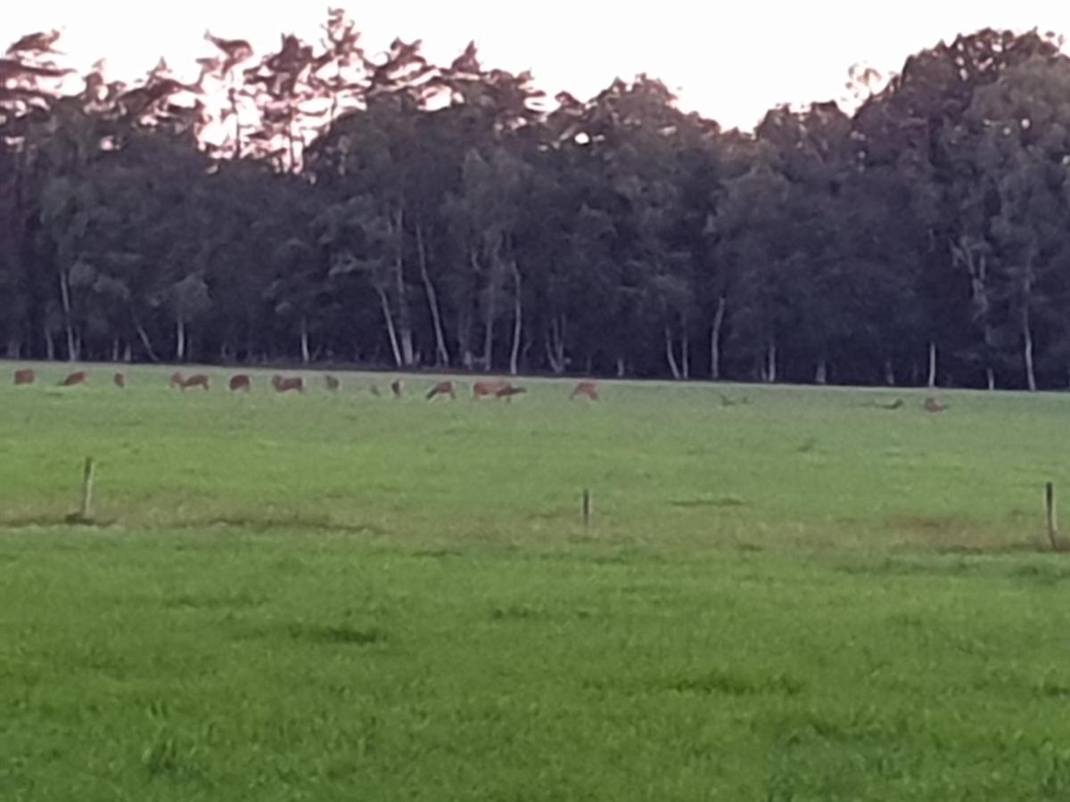 Abija Villa Putten Buitenkant foto